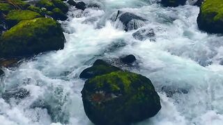 WallPics - 4K Wallpapers - id | Trending HD Video 41