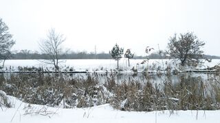 Winter Coat - a body of water in a winter landscape | Trending HD Video