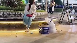 Jika bertemu beliau di alun2 Magelang bantu di larisi ya besti2,padahal udah larut malam ibunya masih nunggu yg beli