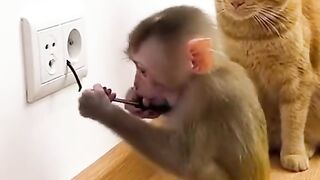 funny 369