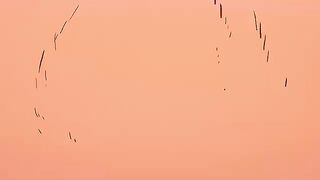 One Piece : Zoro vs King 8K