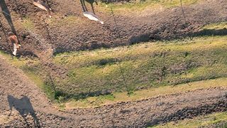 Wallpaper hanging - aerial view of serene rural countryside | Trending HD Video