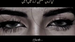 Attitude  on the level