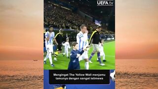 THE YELLOW WALL TERROR