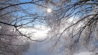 Winterhalter - id | Trending HD Video 69