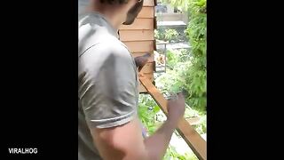 Funny Videos Part 76