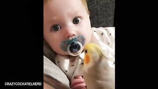 Funny Videos Part 78