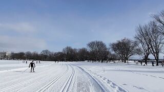 Winterhalter - people skiing in the snow | Trending HD Video