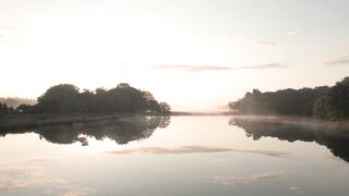 Silly Smile Live Wallpaper 4K - id | Trending HD Video 32