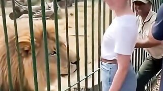 Lion Attack at Zoo Shocks Everyone_ Girl Escapes in Seconds ????????