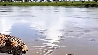 Surprising Animal Moments???????????????? _animals _wildlife _wildzoom