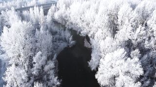 Snow boot - drone footage of trees covered in snow | Trending HD Video