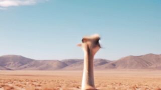 Funnyfuzzy - id | Trending HD Video 124