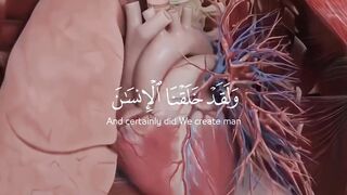 أكبر ساعة في العالم (مكة)_تقع على قمة برج الساعة ف