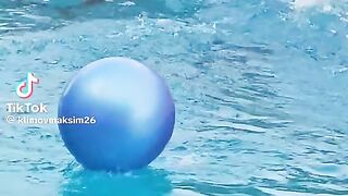 Dolphin 3