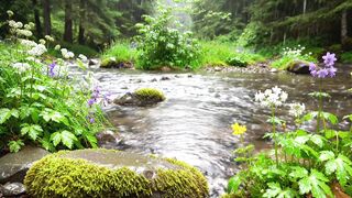 Relaxing Forest Rain Sounds by a Peaceful River | Deep Sleep, Study & Stress Relief Nature Ambience