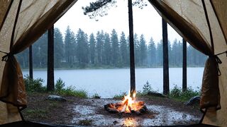 Rainy Forest Camping Ambience by the Lake ???? Relaxing Campfire & Rain Sounds for Sleep, Study, and Meditation