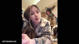 Funny Videos Part 79