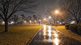 Relaxing Rainy Night Walk in the City Park ????️ | Calm Rain Sounds for Sleep, Study & Stress Relief