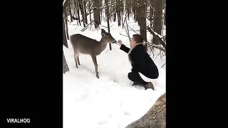 Funny Videos Part 84