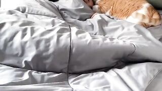 Perfect sleep buddy 2