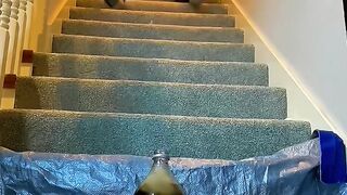 Watch the Best Trending Videos! ???????? 2