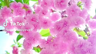 Beautiful scenery 29