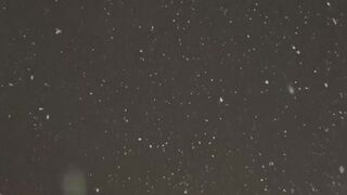 Winterhalter - serene winter night snowfall scene | Trending HD Video