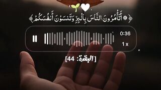 Tilawat e Quran Majeed 30