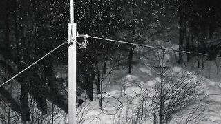 Winter solstice - grayscale video of street lights while snowing | Trending HD Video 2