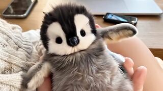 he Cutest Penguin You’ll See Today! ????????
