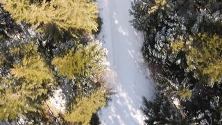 Silly Smile Live Wallpaper 4K - aerial view of snowy forest pathway | Trending HD Video