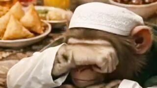 #Cutemonkey video #viralvideo