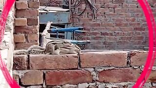 New funny video on mere kam kada pta lagsa ha 2026