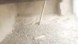 Thirty one and three