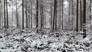 Winter Coat - id | Trending HD Video 67