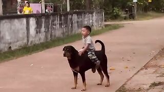 The real naik anj***