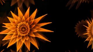 I Love Wallpaper - id | Trending HD Video 23