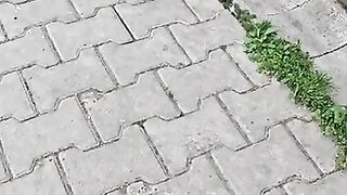 Feeding Blind Cat and Her Friends