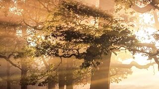 WallPics - 4K Wallpapers - id | Trending HD Video 52