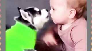 Dog and Baby 2