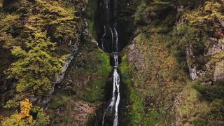 I Love Wallpaper - stunning autumn waterfall in serene forest | Trending HD Video