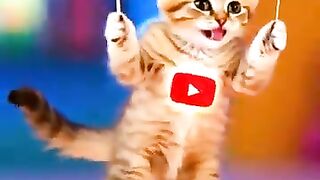 This Stray Cat Started Crying After We Gave It Food!