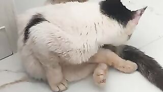 An overdue bath for Chilli Pepper
