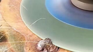 Don't Panic! This Tool Saves Your Broken Bolts."