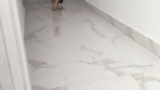 Chilli Pepper ????️ is confused