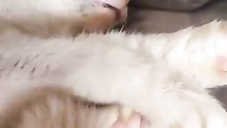 Pink toe beans and nose beans