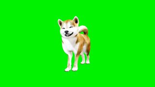 Funnyfuzzy - id | Trending HD Video 140