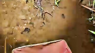 Looking for a fish or eel.. Thanks for watching..!! 45