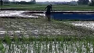 Looking for a fish or eel... Thanks for watching..!! 22